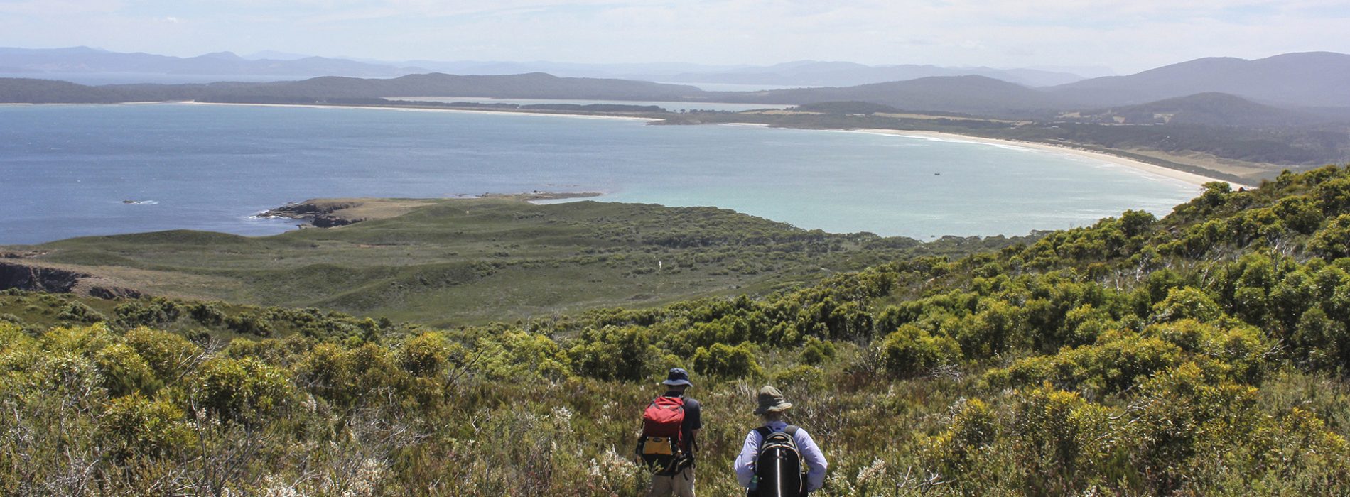 East Cloudy Head Walk