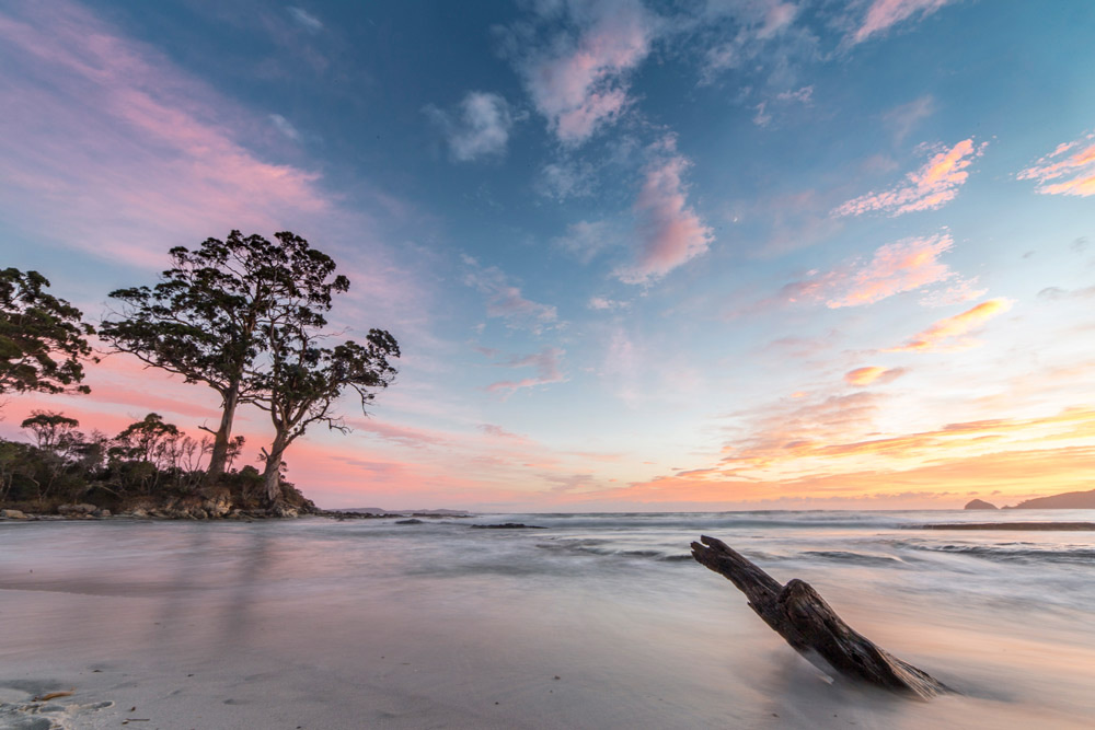 Tow Tree Point Bruny Island